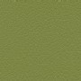 Toledo-Olive