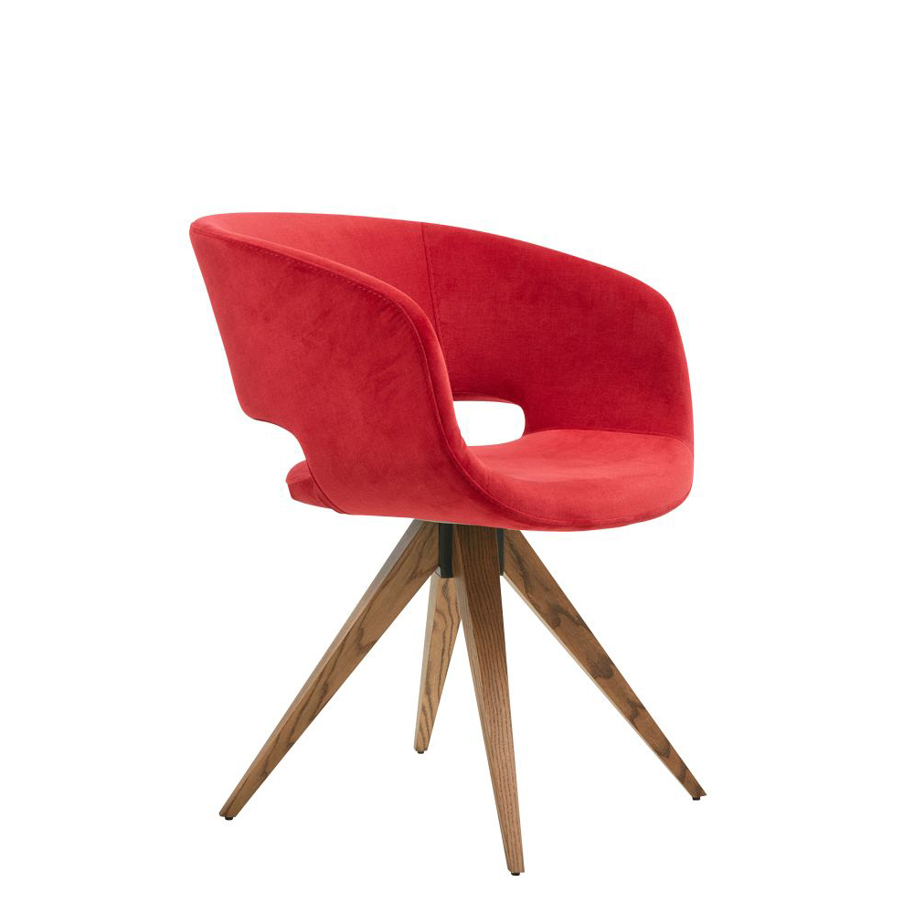 Chairo 256 50
