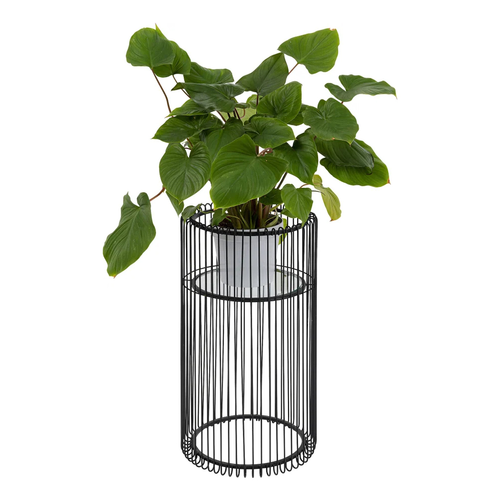 Pflanzenstander-wire-schwarz Pflanzenständer Wire Schwarz 70cm