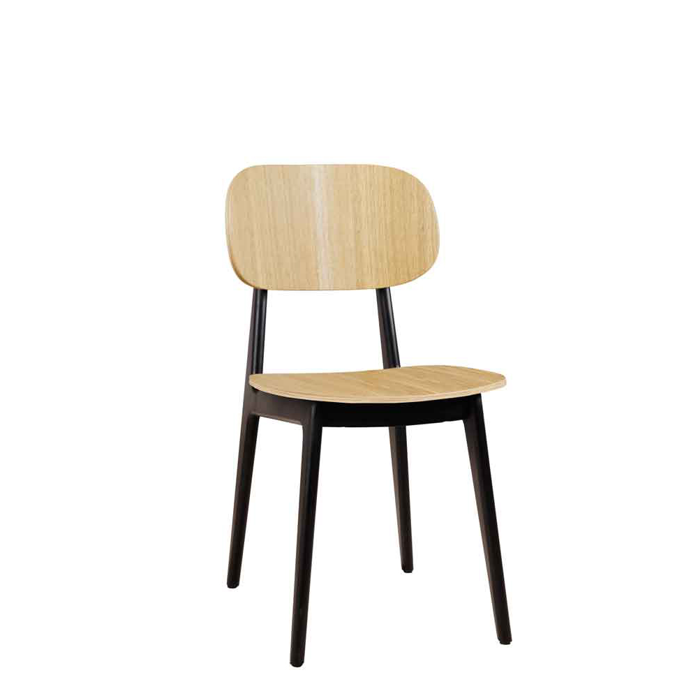 Cumpo-EB_vorne_mont_neu Holzstuhl Cumpo H EB