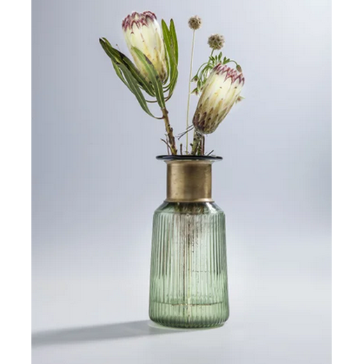Vase-barfly-green-2 Vase Barfly Green 30cm